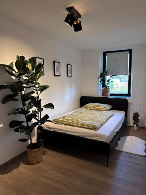 Urban Apartments Weimarer Land Buttelstedt ภายนอก รูปภาพ